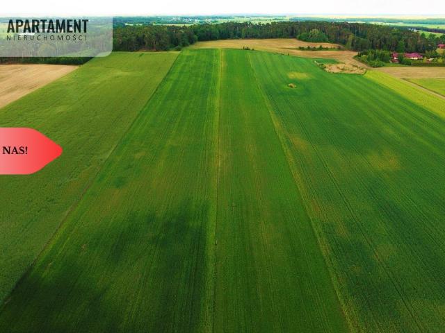 Grunt na sprzedaż w Szubin, Kujawsko-pomorskie