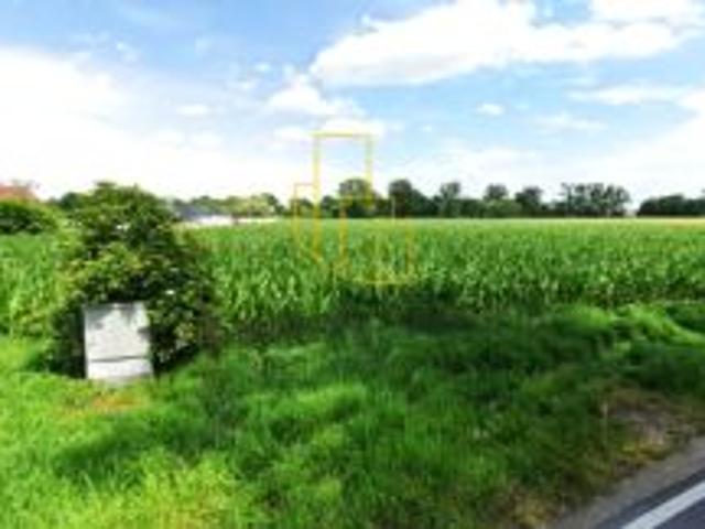 Grunt na sprzedaż w Szukalice, Dolnośląskie