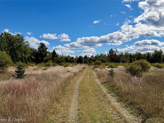 Land for sale in Millersburg, Presque Isle County