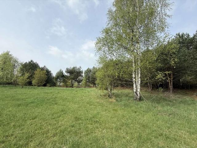 Grunt na sprzedaż w Czarna Woda, Pomorskie