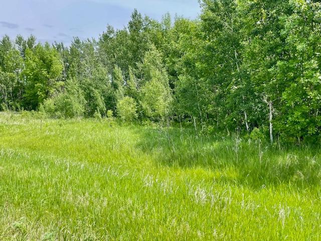 Land for sale in Henning, Minnesota
