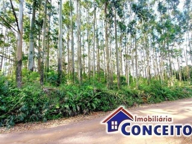 Sítio e chácara venda em Região Geográfica Imediata de Tramandaí - Osório, Aglomeração Urbana do Litoral Norte