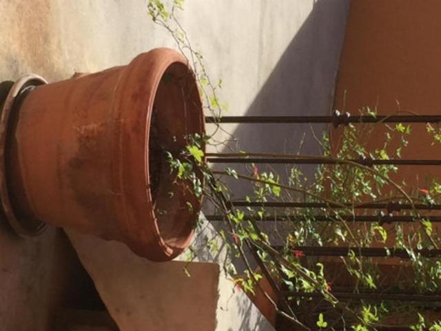 Appartement location à Beausoleil, Alpes-Maritimes
