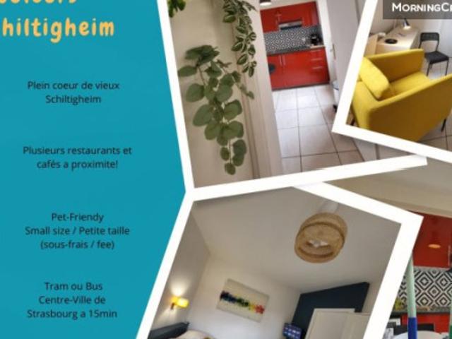 Appartement location à Strasbourg, Schiltigheim