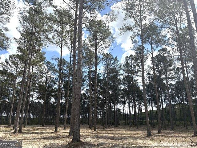Land for sale in Wilkinson, Georgia