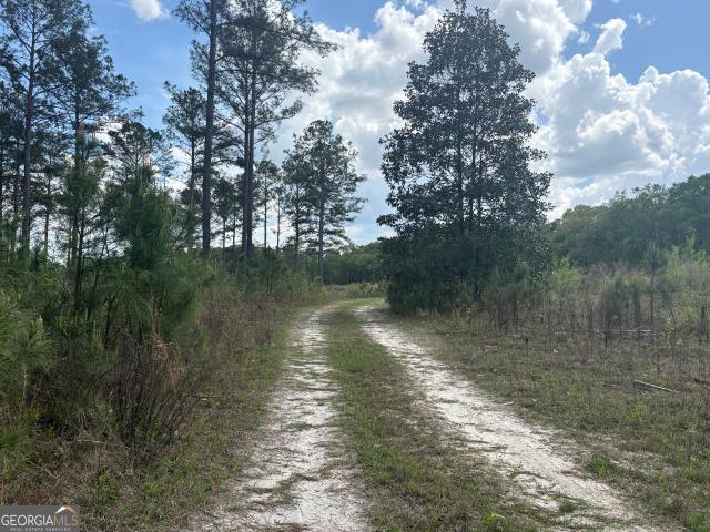 Land for sale in Wilkinson, Georgia