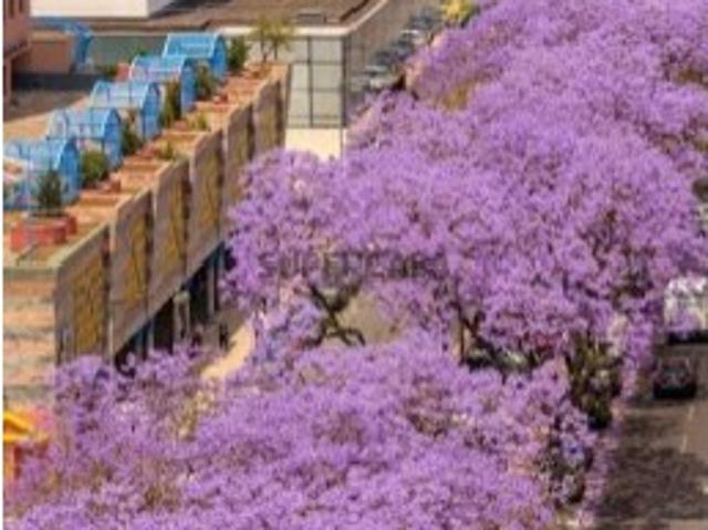 Casa venda em Lisboa