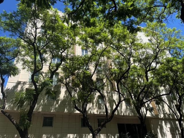 Apartamento venda em São Mamede, Lisboa