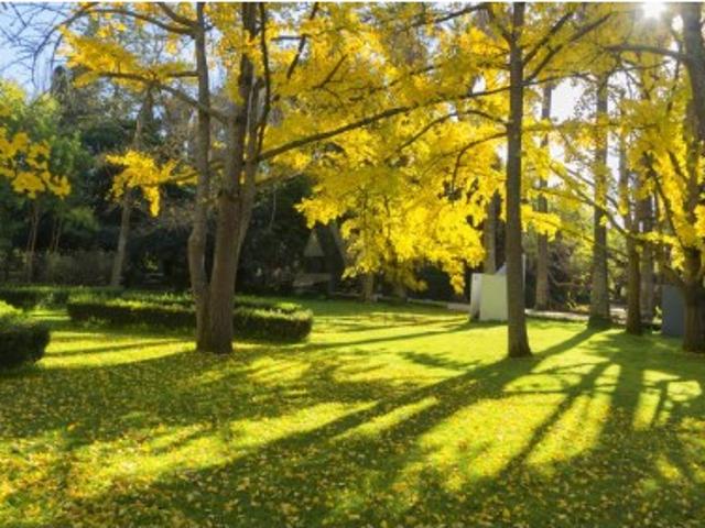 Apartamento alugar em Ajuda