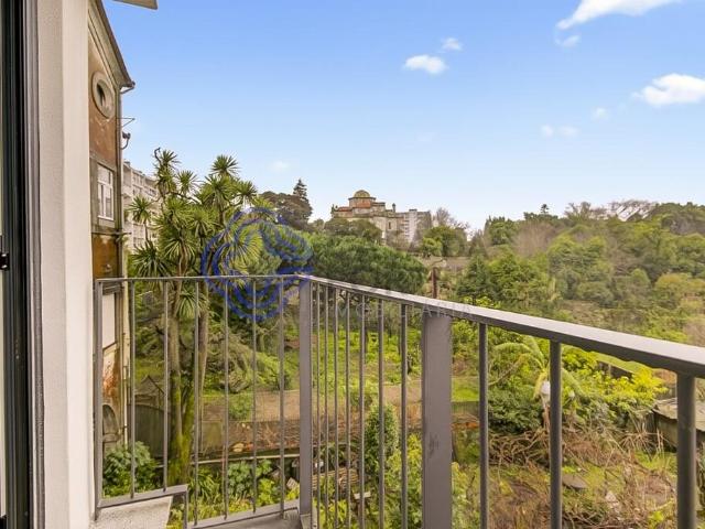 Apartamento venda em Porto, Cedofeita