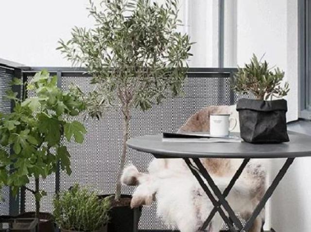 Appartement vente à Saint-Denis, Saint-denis
