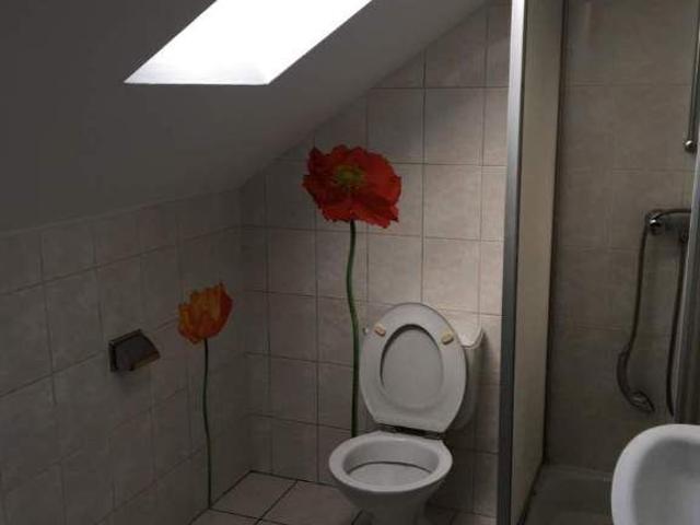 Appartement location à Tours, Montbazon