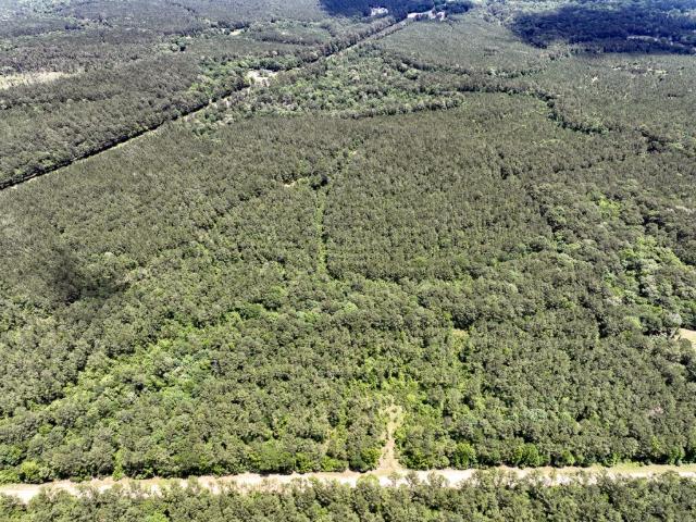 Land for sale in Oakhurst, Texas