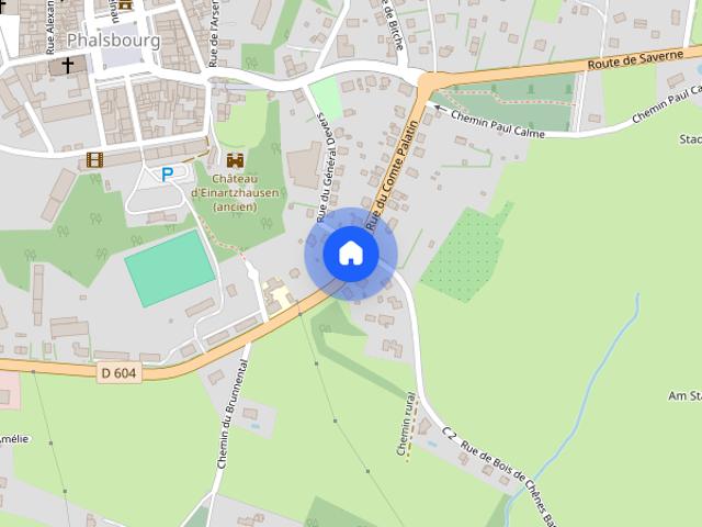 Appartement location à Sarrebourg-Château-Salins, Phalsbourg