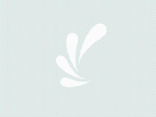 Appartement location à Toulouse, Blagnac
