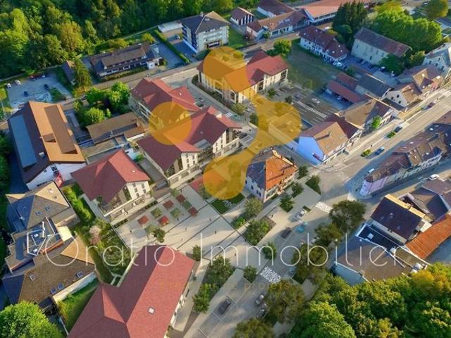 Appartement vente à Frangy