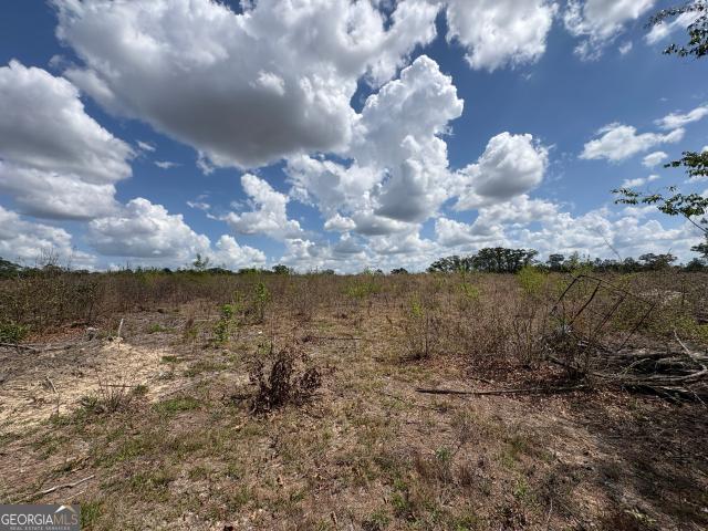 Land for sale in Wilkinson, Georgia