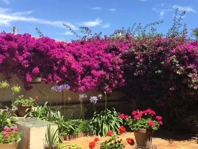 Appartement vente à Terrefial, Cannes