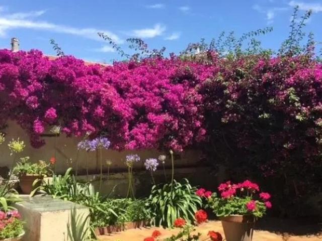 Appartement vente à Grasse, Cannes