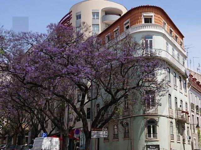 Apartamento venda em Santa Catarina, Lisboa