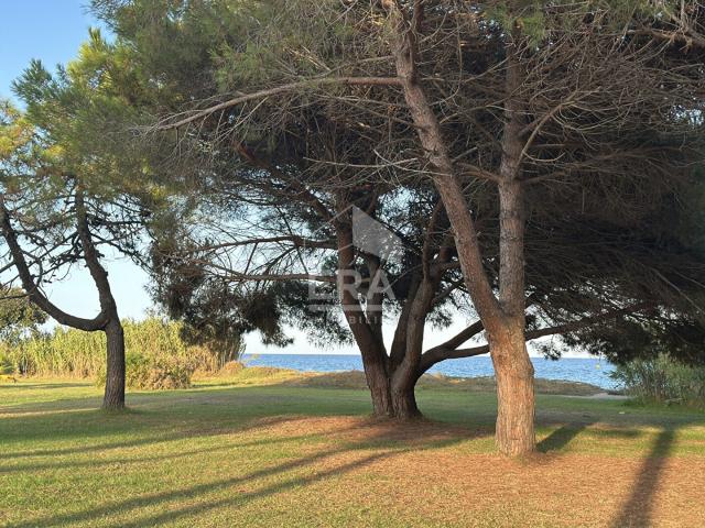Appartement vente à Corte, Poggio-mezzana