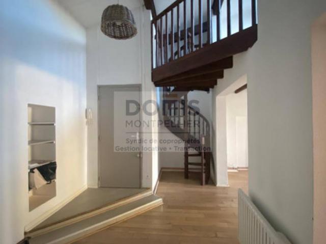Appartement location à Montpellier, Lunel-viel
