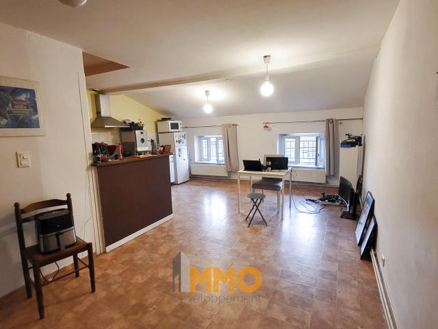Appartement location à Villefranche-sur-Saône, Rhône