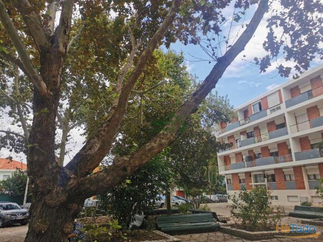 Apartamento venda em Setúbal