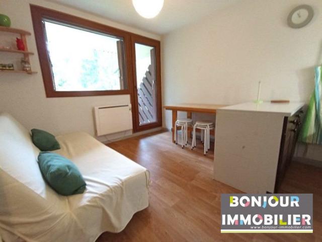 Appartement location à Grenoble, Saint-christophe-sur-guiers