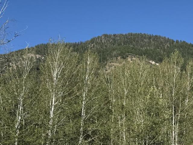 Land for sale in Wyoming