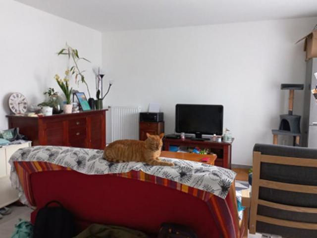 Appartement location à Liffré, L'Angevinais
