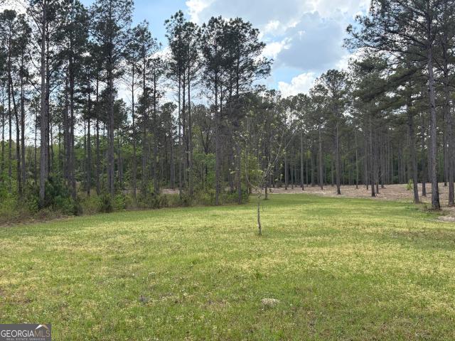Land for sale in Wilkinson, Georgia