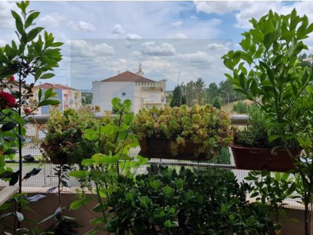 Duplex venda em Torres Novas, Santarém