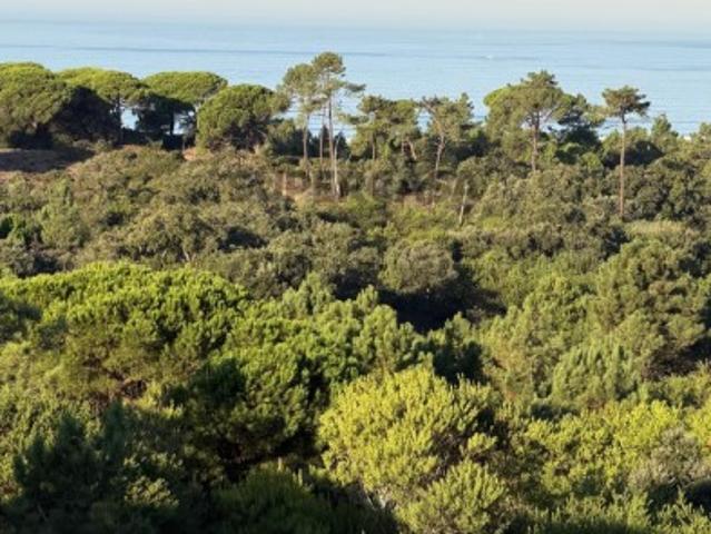 Casa venda em Quinta do Texugo, Almada