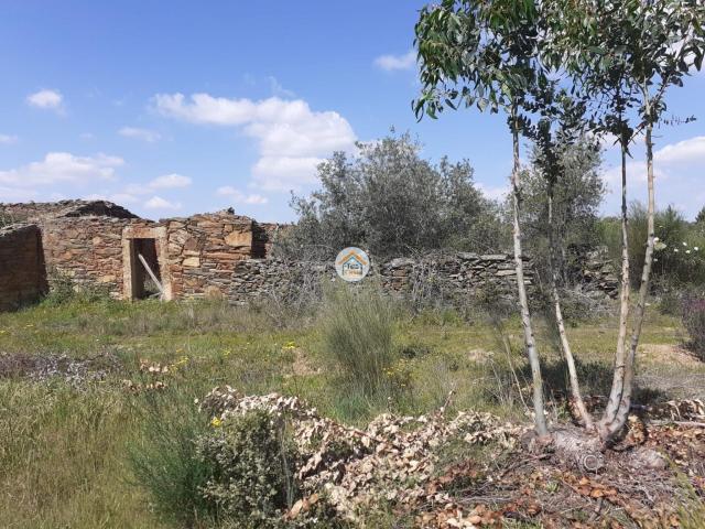 Casa venda em Castelo Branco