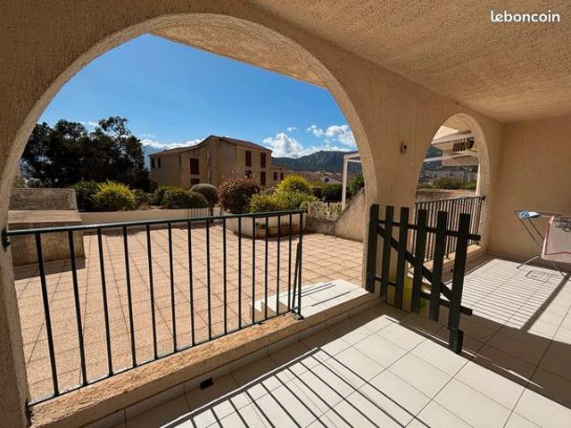 Appartement vente à Calvi
