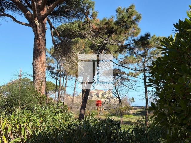 Appartement vente à Calvi