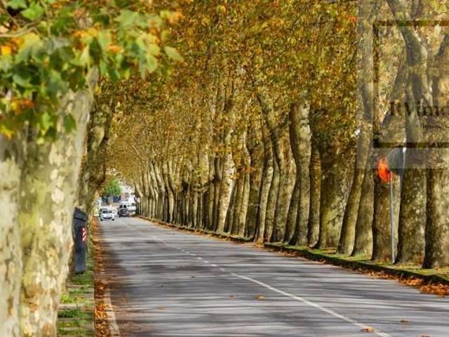 Apartamento alugar em Viana Do Castelo