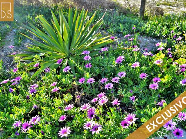 Apartamento alugar em Vale de Janelas, Torres Vedras