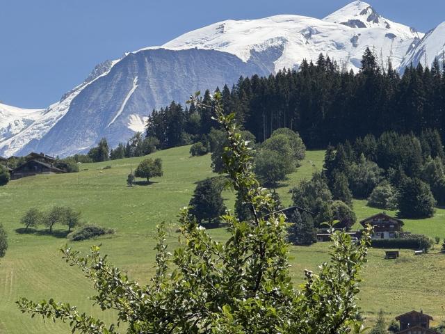 Appartement vente à Plommaz, Combloux