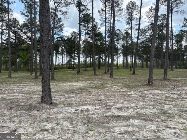 Land for sale in Wilkinson, Georgia