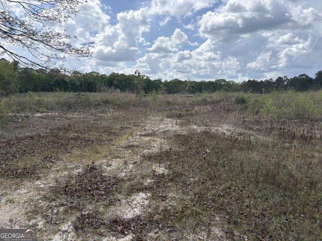 Land for sale in Wilkinson, Georgia