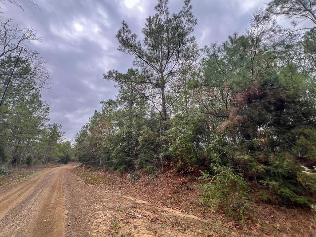 Land for sale in Newton, Texas