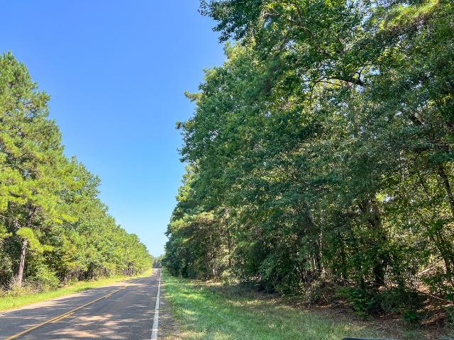 Land for sale in Village Mills, Texas