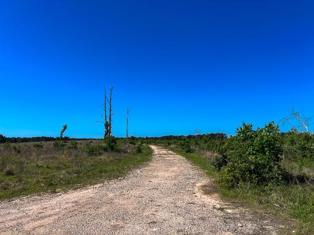 Land for sale in Groveton, Texas