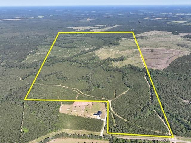 Land for sale in Groveton, Texas