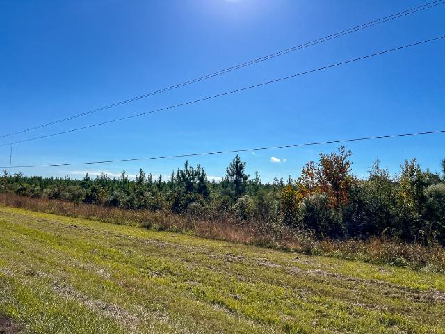 Land for sale in Thicket, Texas