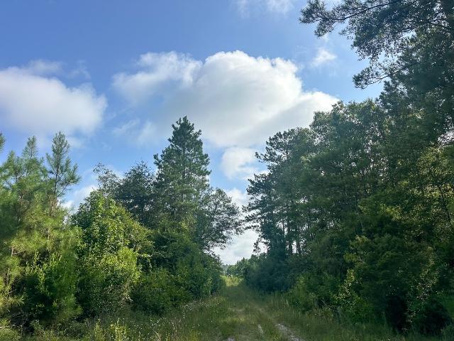 Land for sale in Kountze, Texas