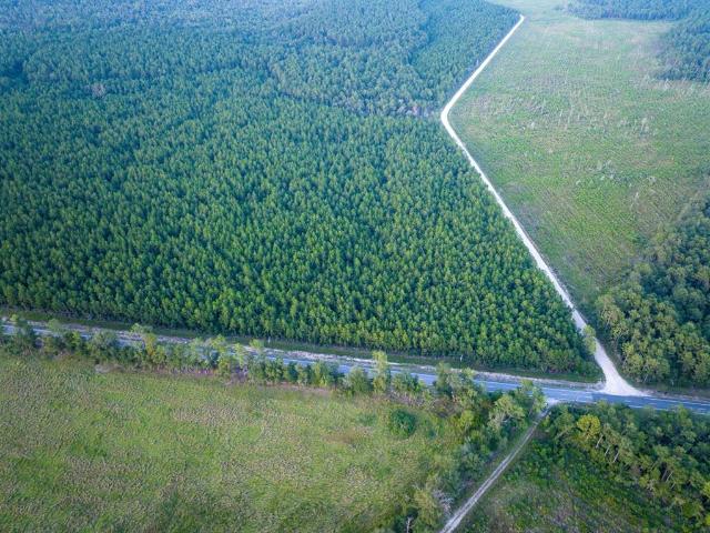 Land for sale in Starks, Louisiana