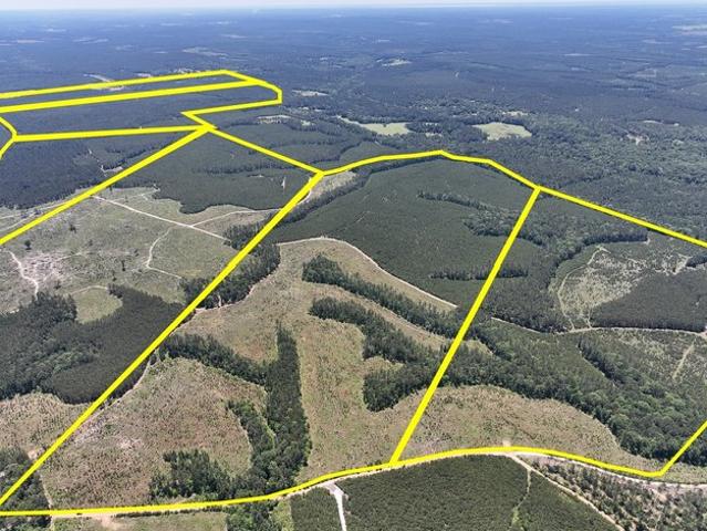 Land for sale in Polk, Texas